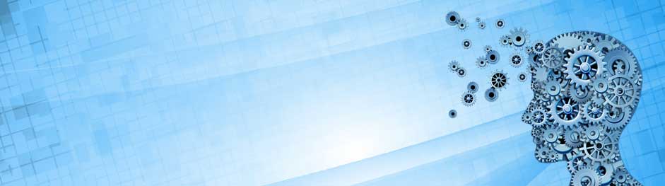 About DIDIT Consulting Inc
