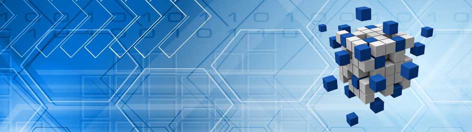 Consulting Services