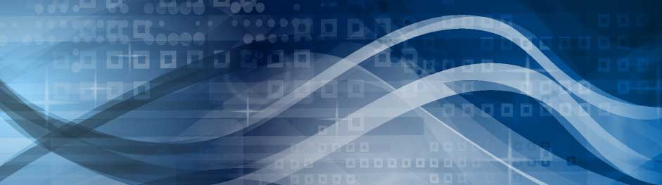 DIDIT Consulting Inc Terms of Use